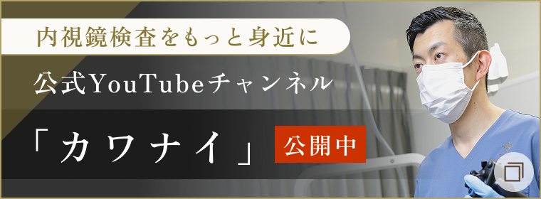 公式Youtubeチャンネル